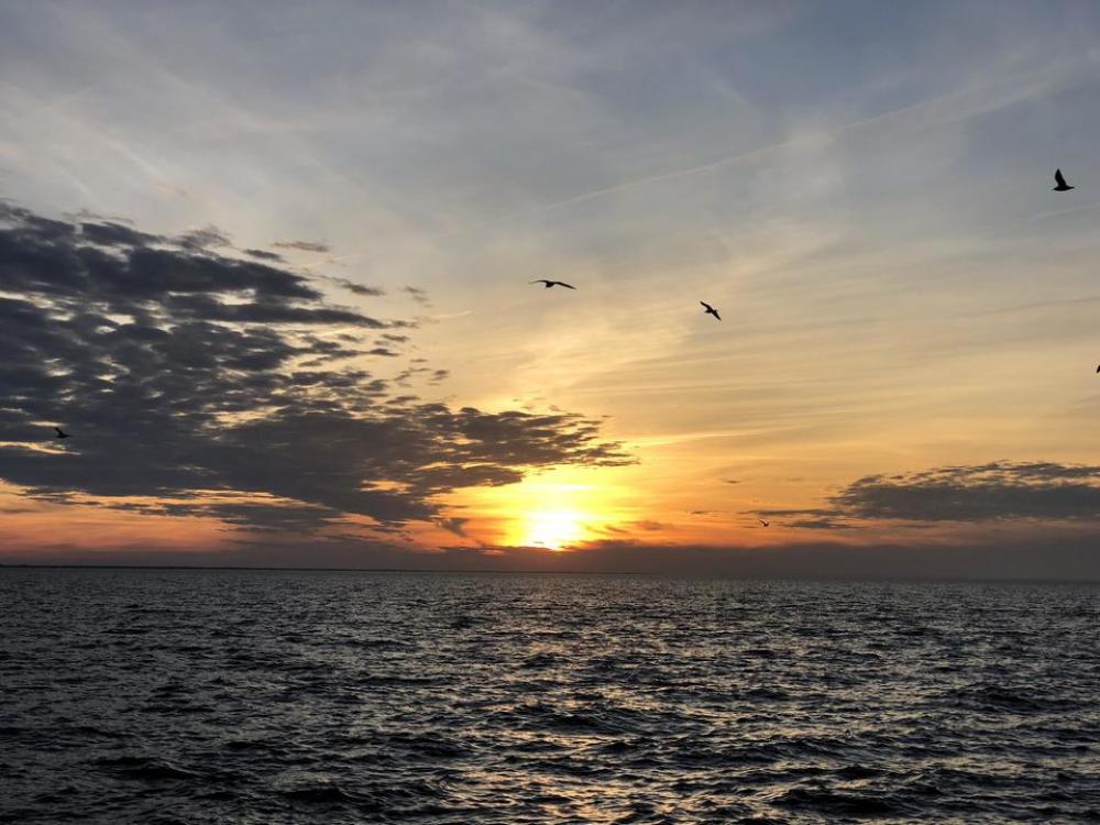 sunset ocean sunlight sunset ocean sunlight