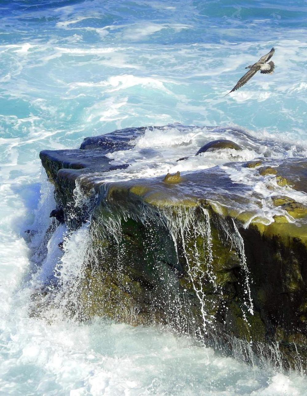 ocean ocean wave seashore water surf ocean ocean wave seashore water surf