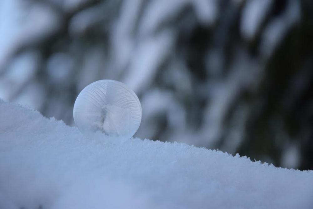 Soap bubblesfrozencoldicewintersnowfrozen soap bubblespatternice crystals Soap bubblesfrozencoldicewintersnowfrozen soap bubblespatternice crystals
