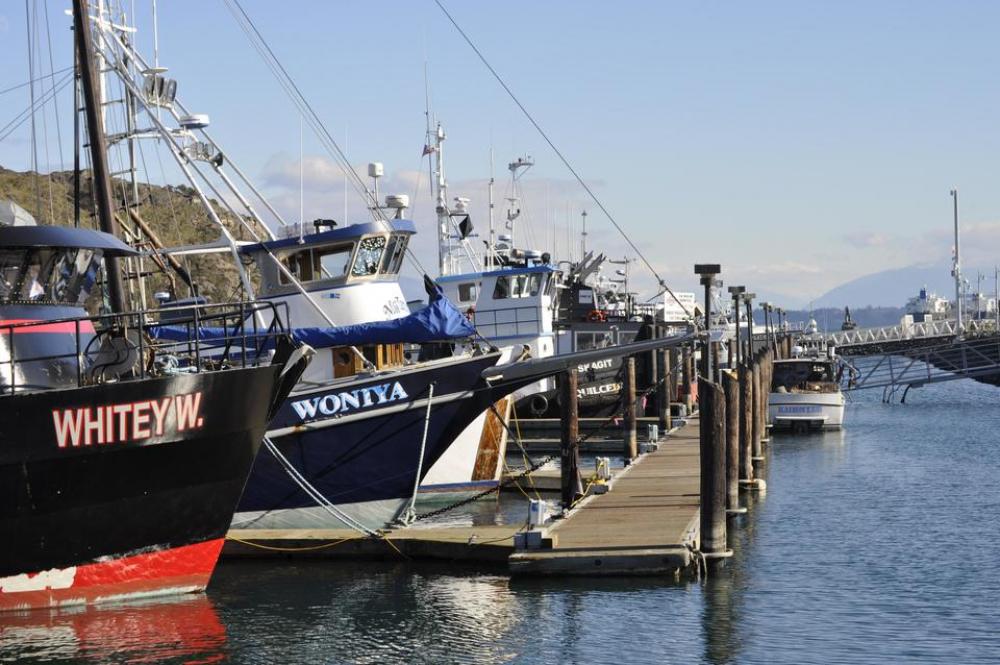 boat boats fishing ship dock boat boats fishing ship dock