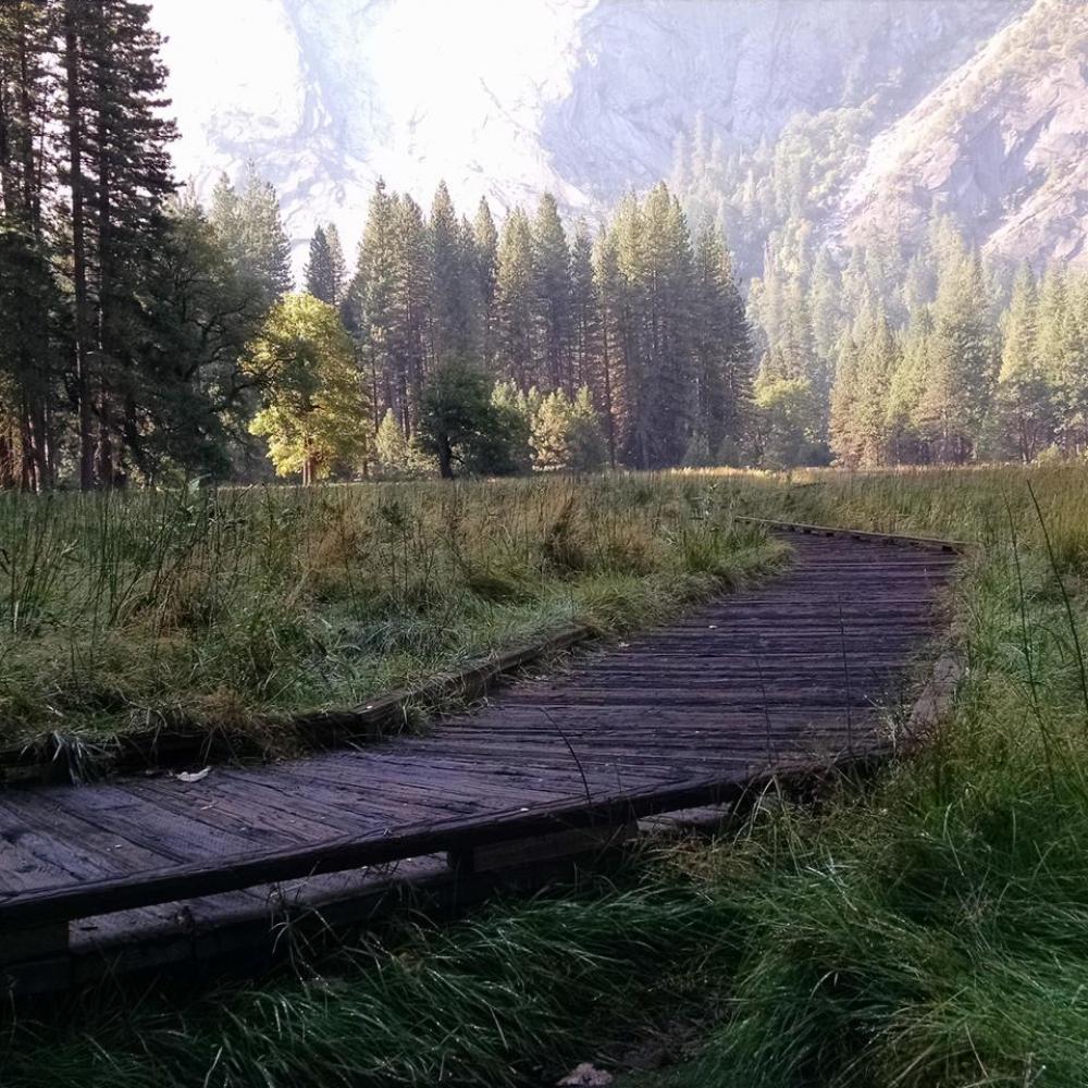 Path hiking outdoors wilderness wood planks Path hiking outdoors wilderness wood planks