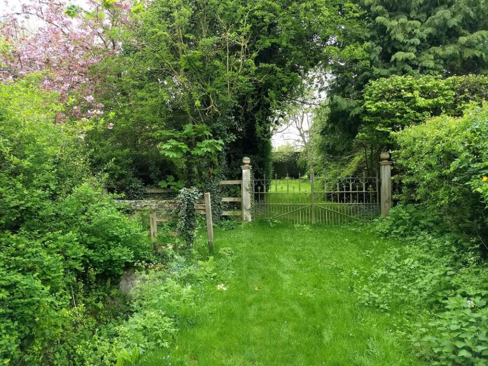 green track overgrown lane lawn green track overgrown lane lawn