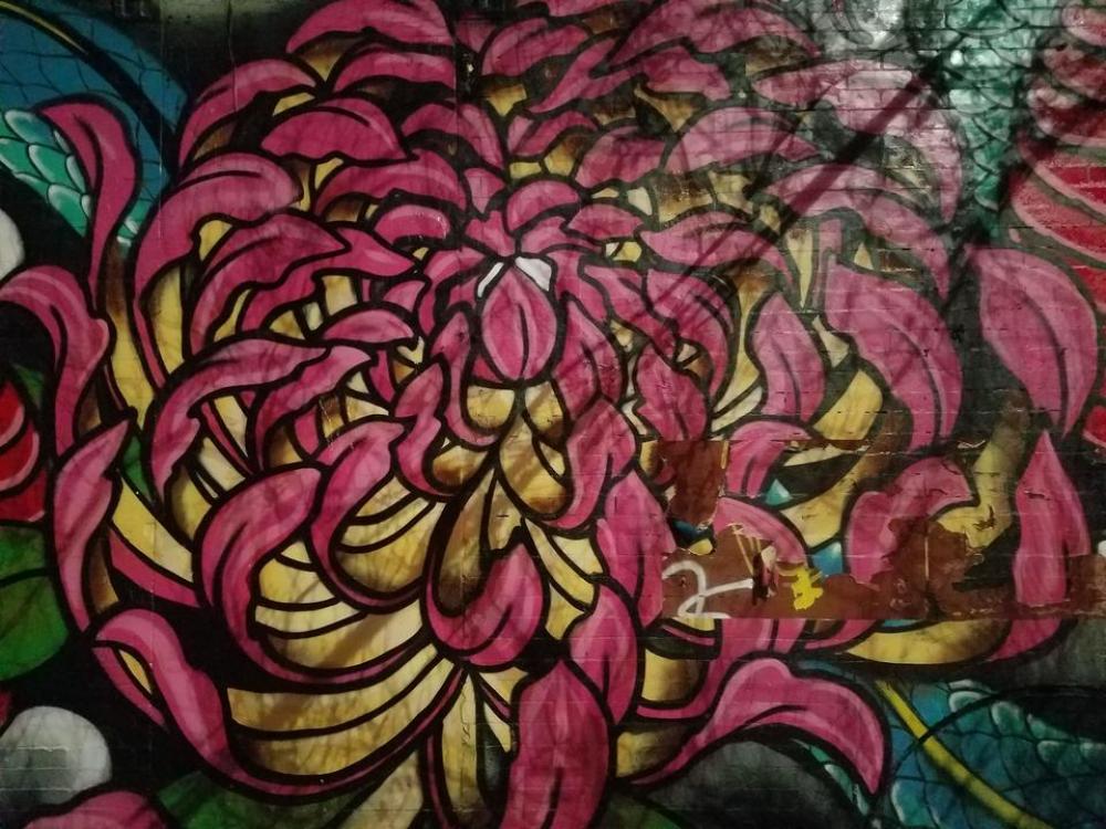 Street art graffiti Street art graffiti