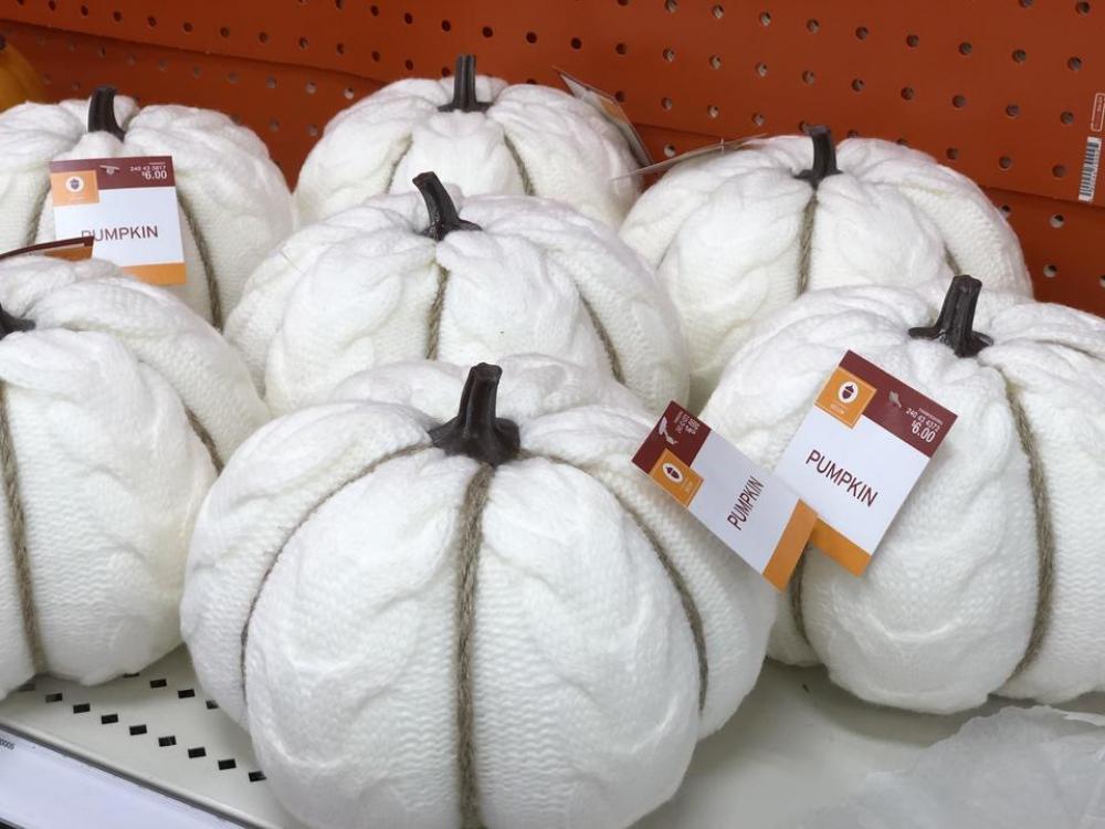 white pumpkin pumpkin decor pumpkins pumpkin fall white pumpkin pumpkin decor pumpkins pumpkin fall