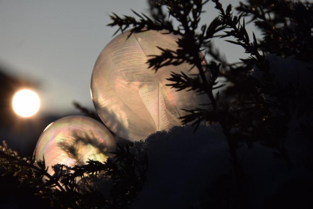 Soap bubbles frozen cold ice winter Soap bubbles frozen cold ice winter