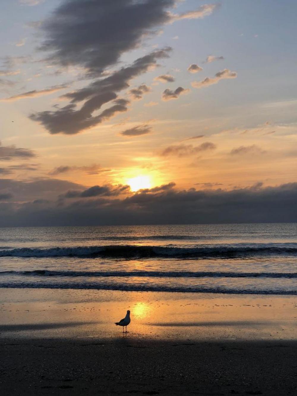 sunrise sunset water seashore beach sunrise sunset water seashore beach