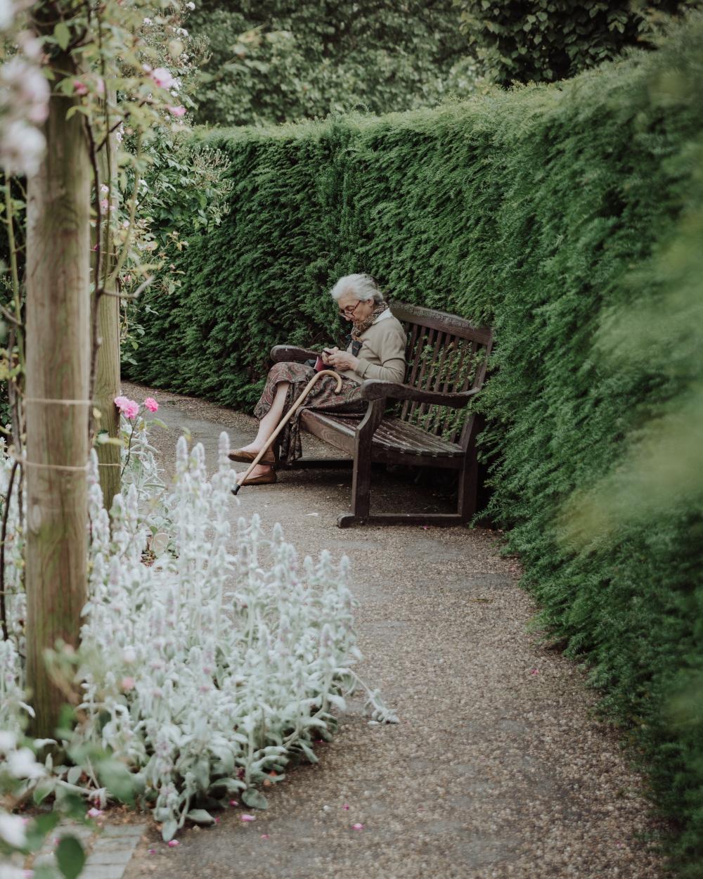 Cute old woman scrolling free image Cute old woman scrolling free image