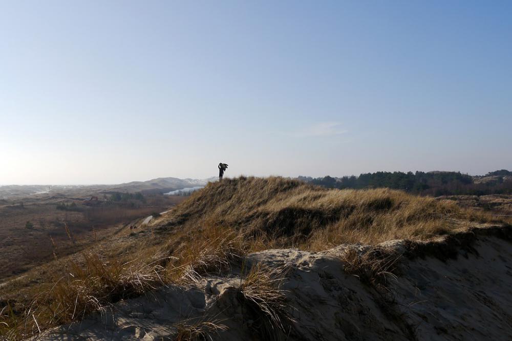 Amrum Island Nordfriesland Dunes Sea Coast Amrum Island Nordfriesland Dunes Sea Coast