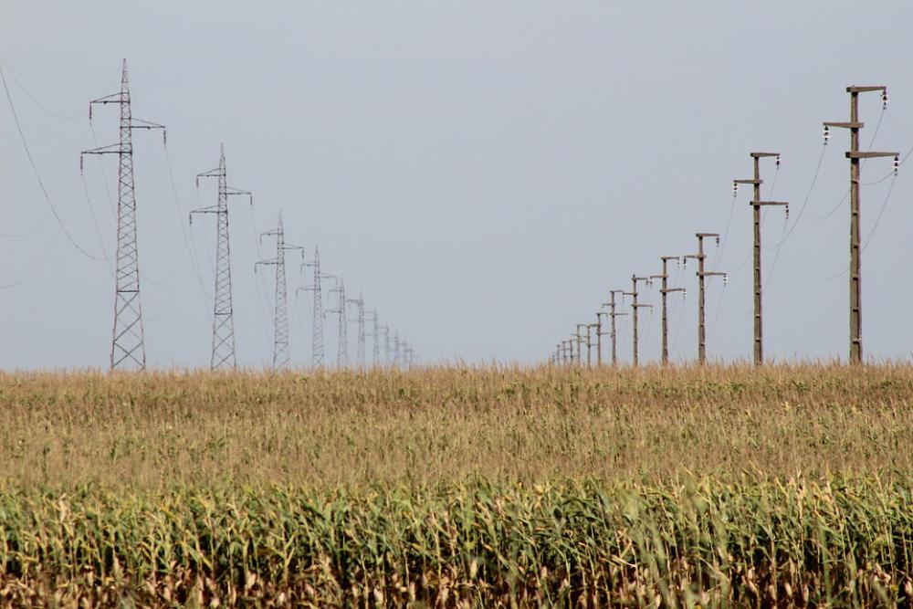 Corn Food Energy Wire Corn Food Energy Wire