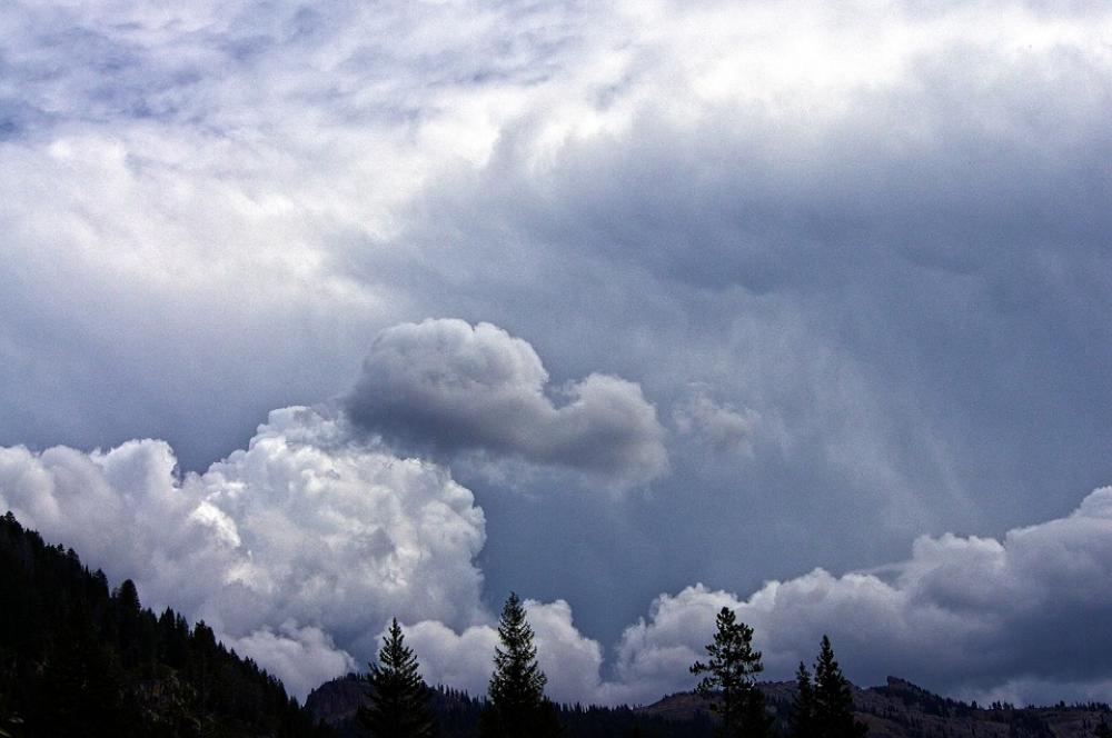 Dark Clouds In The Wilderness Dark Sky Storm Dark Clouds In The Wilderness Dark Sky Storm