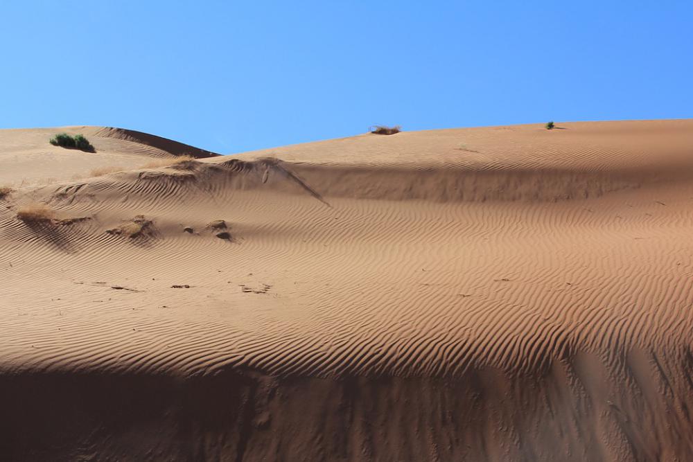 Desert Sand Dune Dry Nature Travel Desert Sand Dune Dry Nature Travel