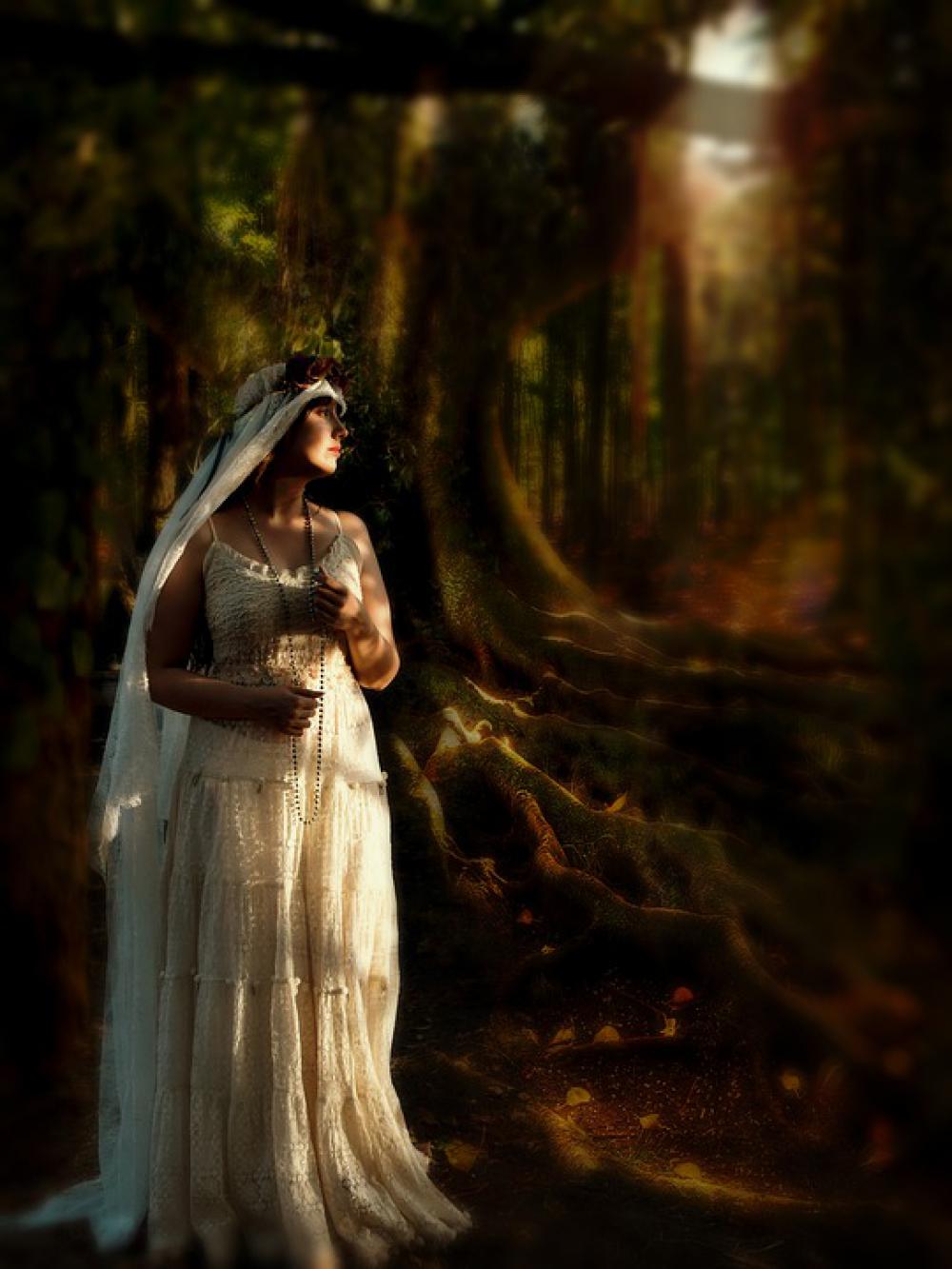 Fantasy Forest Mysterious Mystic Sunset Fantasy Forest Mysterious Mystic Sunset