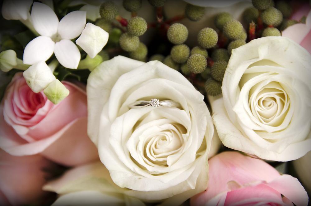 Flowers Rose Wedding Garden White Pink Flowers Rose Wedding Garden White Pink
