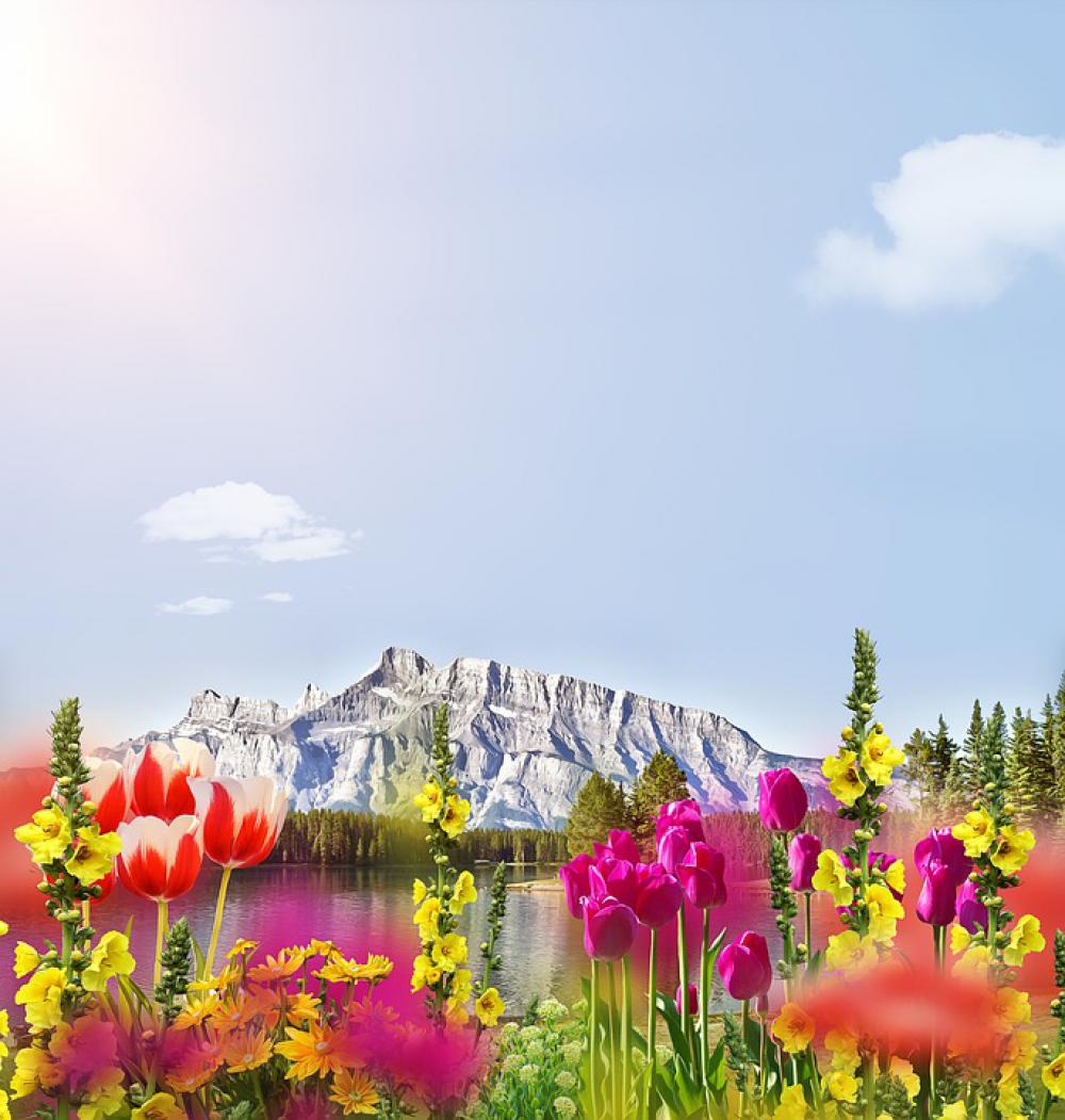 Flowers Mountain Sky Outlook Spring Background Flowers Mountain Sky Outlook Spring Background