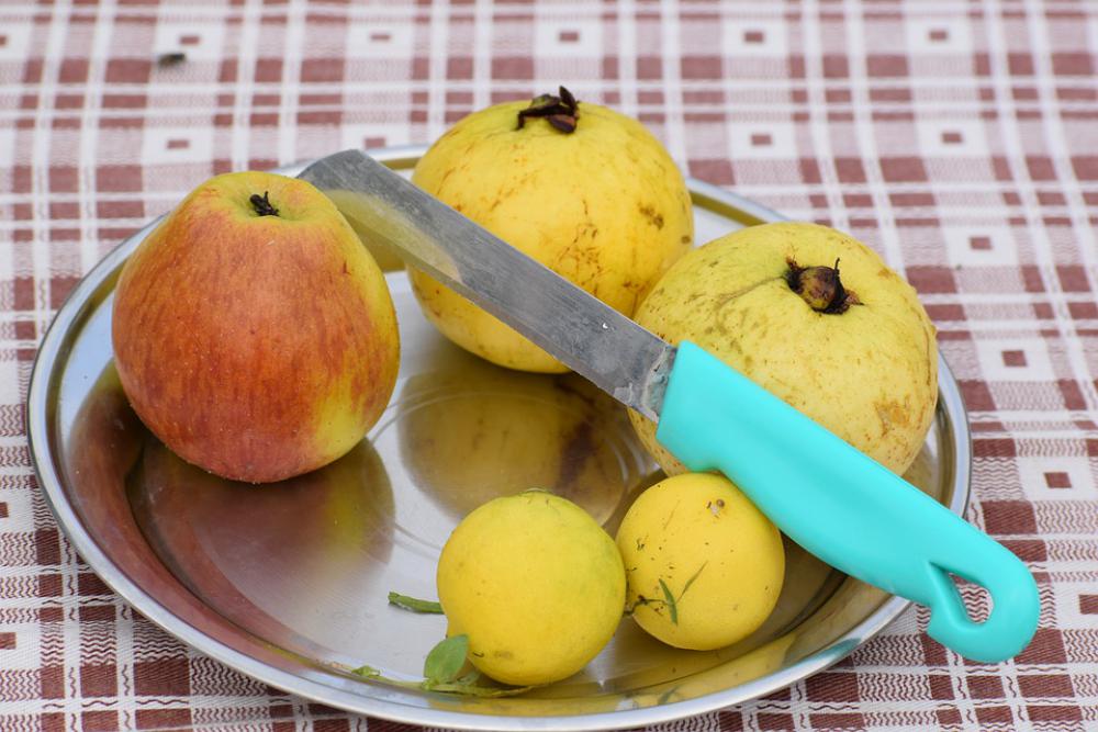 Fruits Nature Healthy Organic Fresh Apple Fruits Nature Healthy Organic Fresh Apple