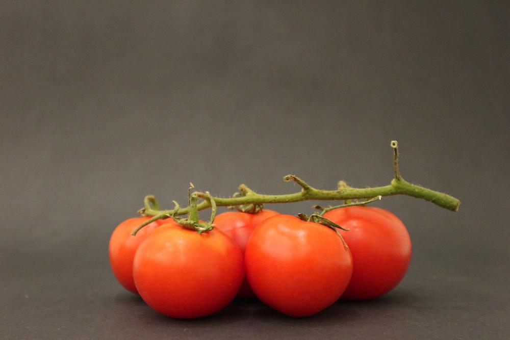 Green Handle Tomato Tomatoes Plant Leaves Ot Green Handle Tomato Tomatoes Plant Leaves Ot