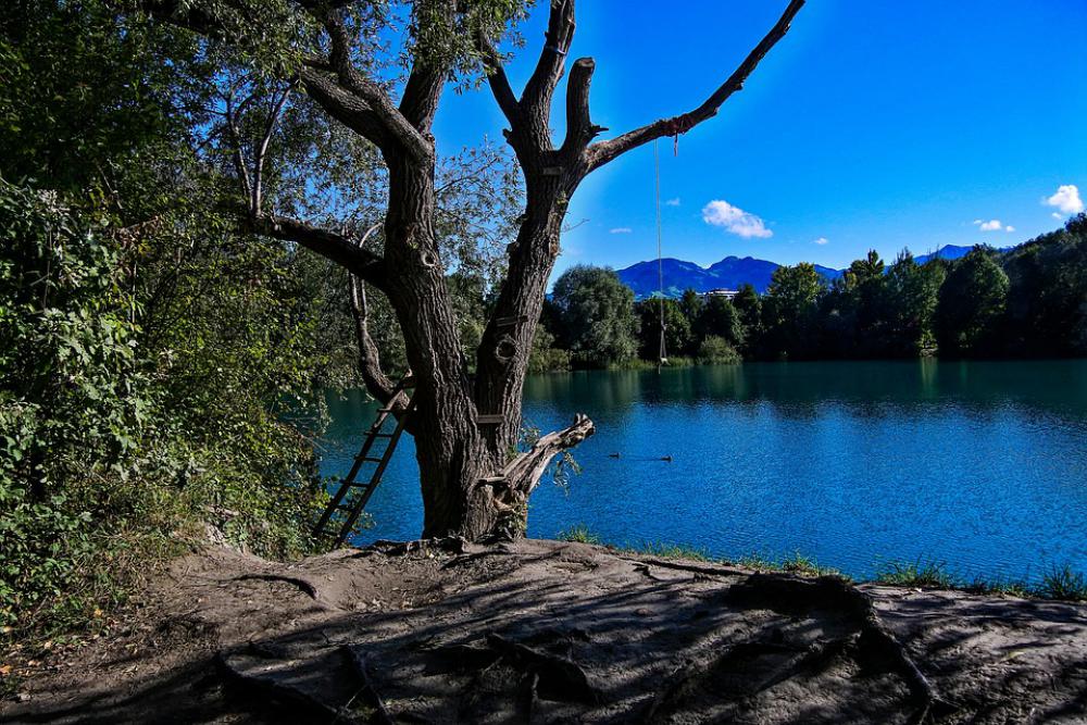 Lake Tree Waters Water Nature Summer Rest Lake Tree Waters Water Nature Summer Rest