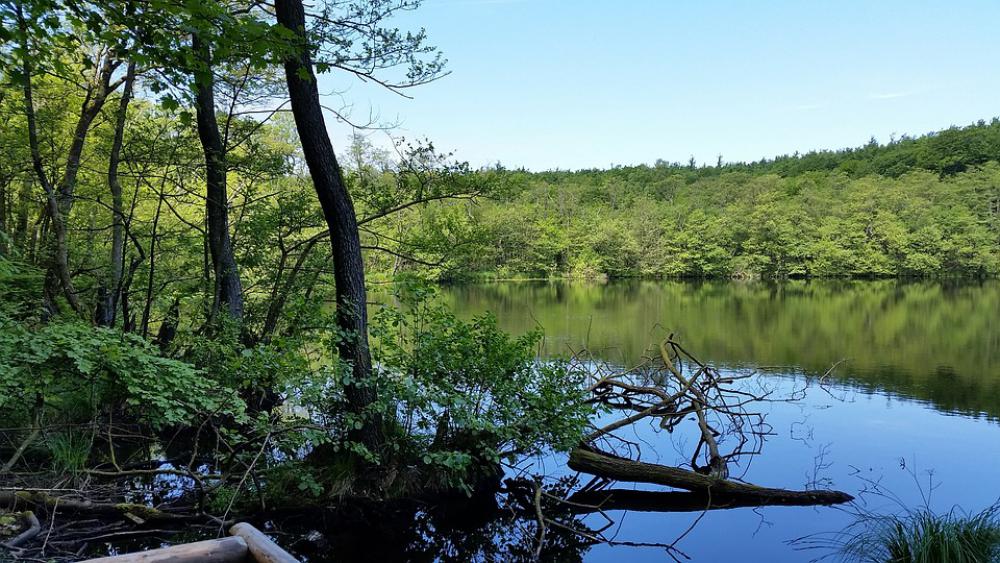 Lake Landscape Woods Water Nature Outdoors Scenic Lake Landscape Woods Water Nature Outdoors Scenic