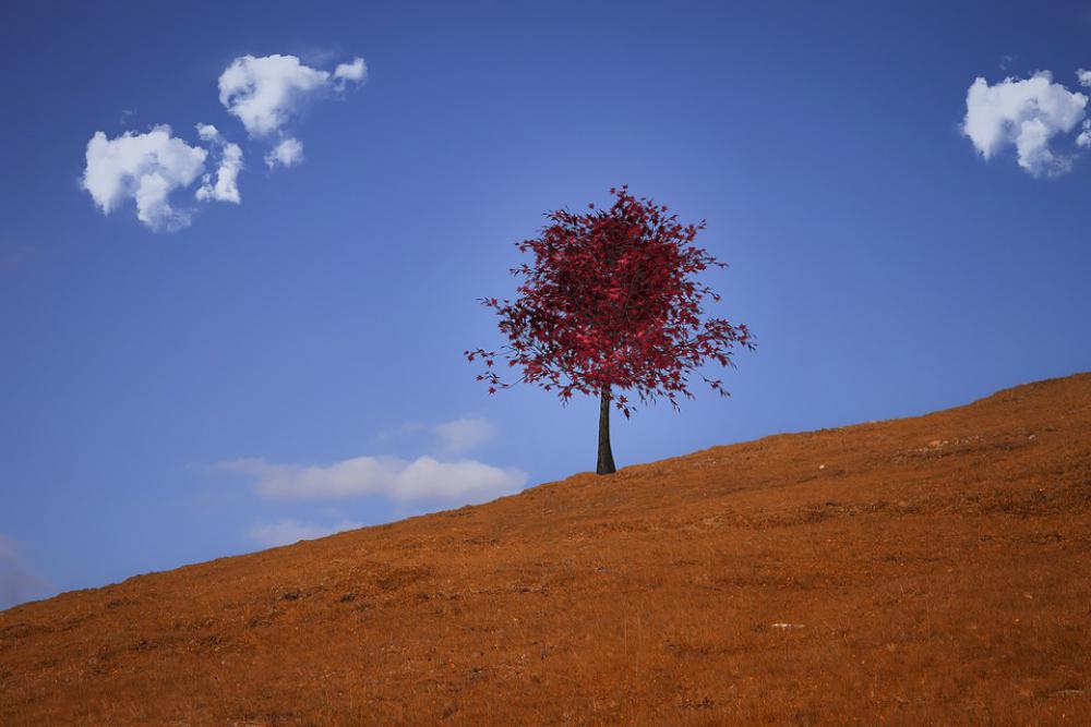 Landscape Autumn Meadow Tree Sky Clouds Nature Landscape Autumn Meadow Tree Sky Clouds Nature