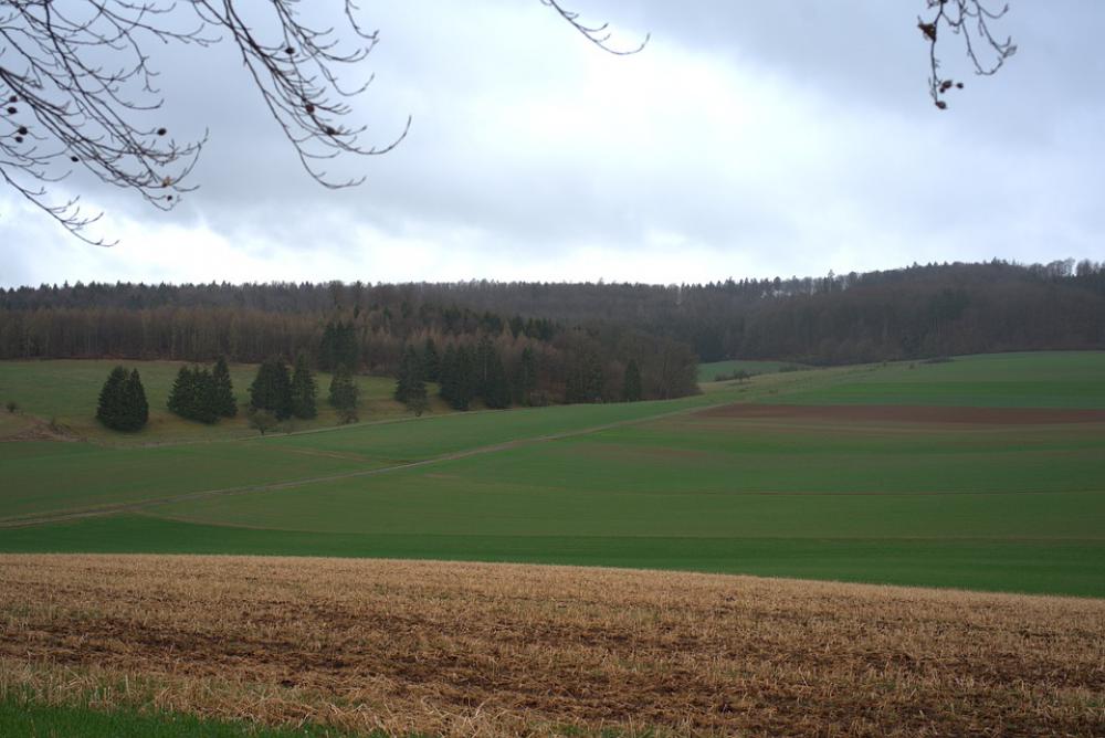 Landscape Field Meadow Elbe Mountain Sky Green Landscape Field Meadow Elbe Mountain Sky Green