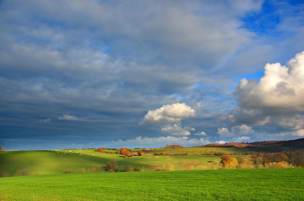 Landscape Field Vosges Nature Rural Sky Summer Landscape Field Vosges Nature Rural Sky Summer