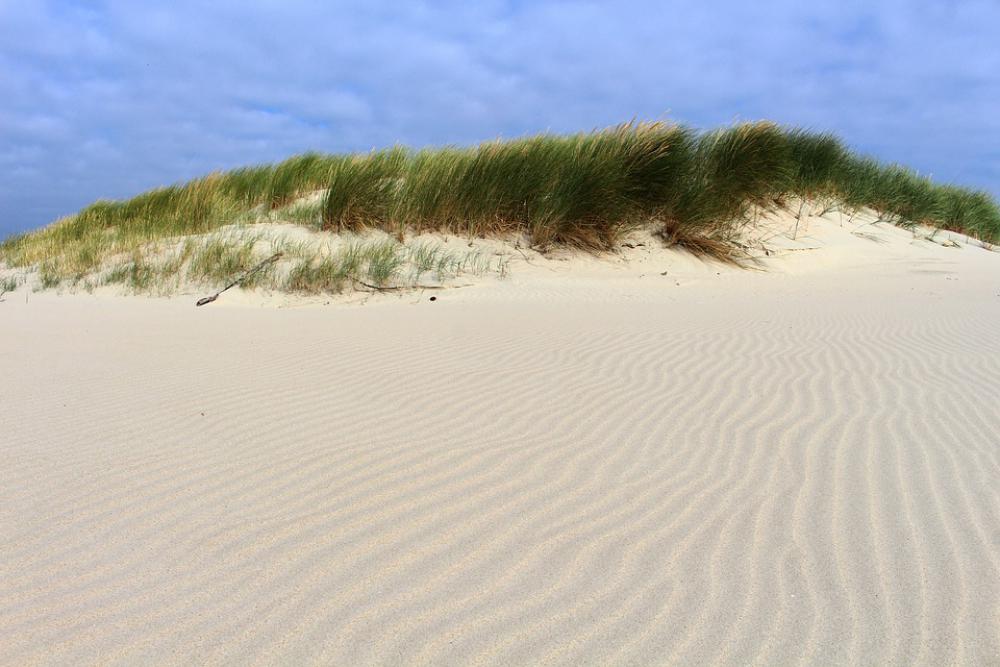 Langeoog Sand North Sea Beach Sea East Frisia Langeoog Sand North Sea Beach Sea East Frisia