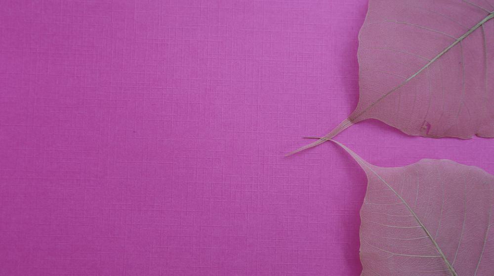 Leaves Background Color Wallpaper Paper Design Leaves Background Color Wallpaper Paper Design