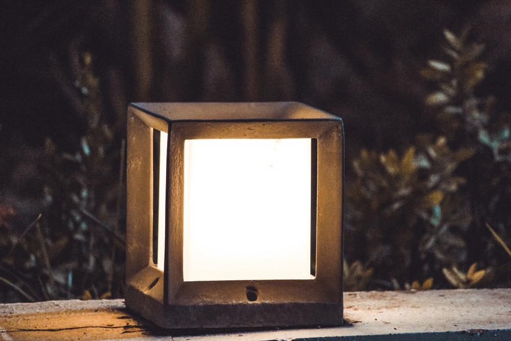 Light Plants Night Light Mood Light Plants Night Light Mood