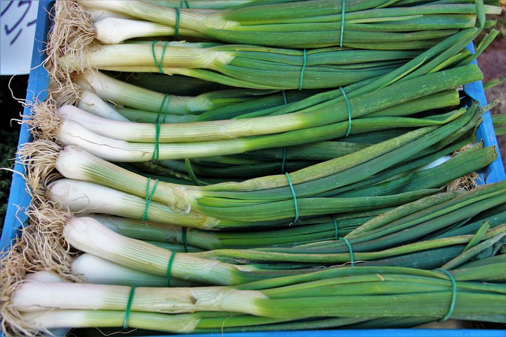 Market Vegetables Fresh Farmers Markets Sale Stand Market Vegetables Fresh Farmers Markets Sale Stand