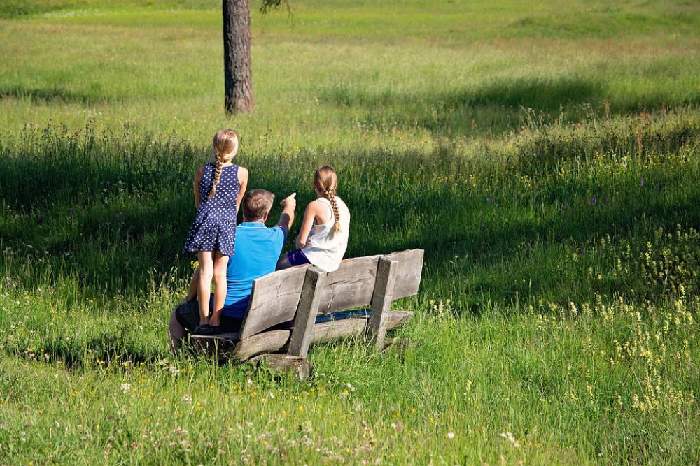 More Nature Family Summer Hiking Bench Rest More Nature Family Summer Hiking Bench Rest