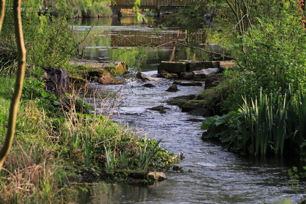 Nature Water Bach Idyll Nature Water Bach Idyll