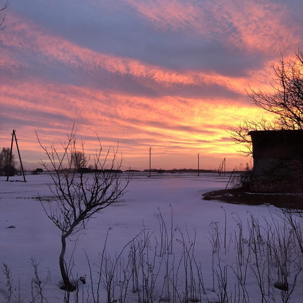 Nature Latvia Sunset Natural Outdoors Sky Trees Nature Latvia Sunset Natural Outdoors Sky Trees