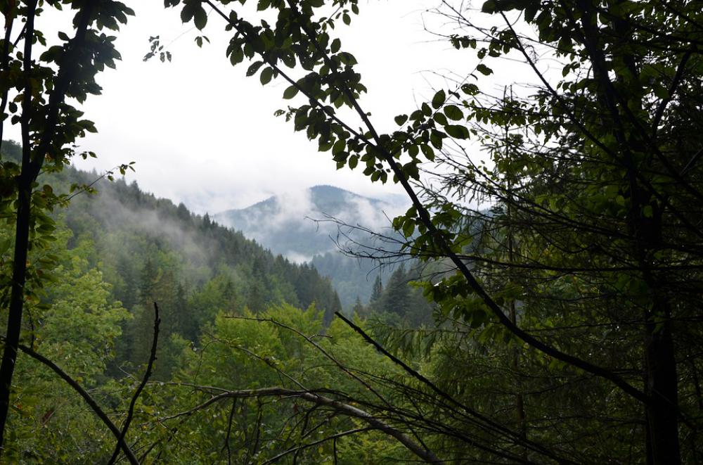 Nature Mountains Fog Nature Mountains Fog