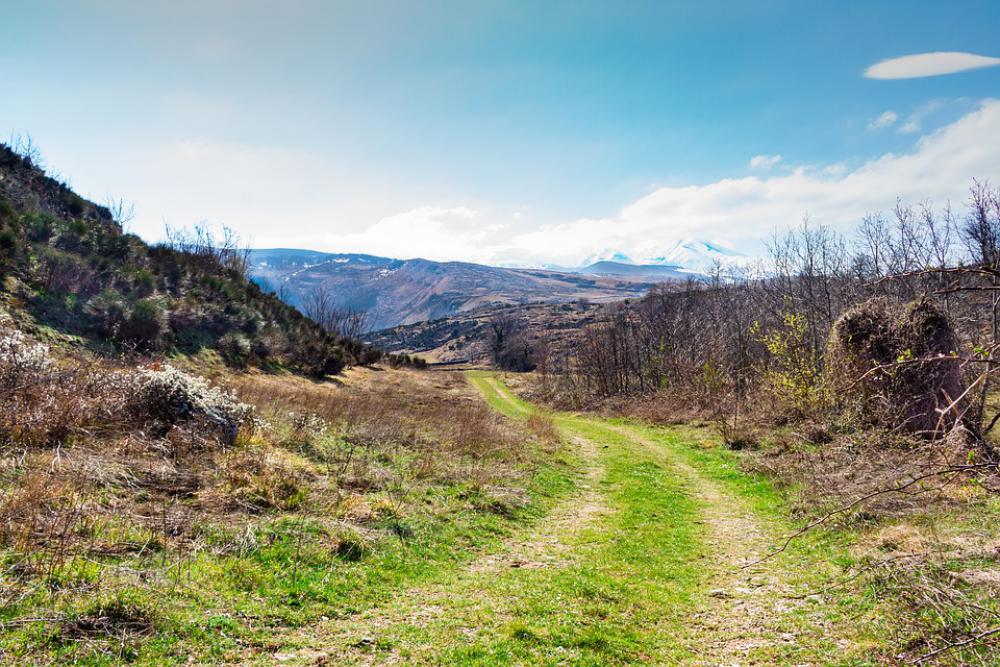 Road Green Nature Sky Landscape Grass Spring Road Green Nature Sky Landscape Grass Spring