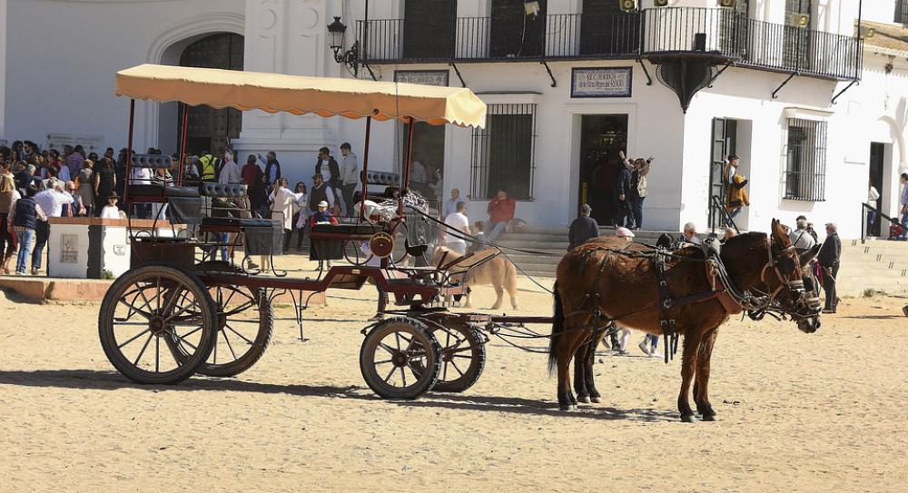 Rocio Car Carriage Horse Old Rocio Car Carriage Horse Old