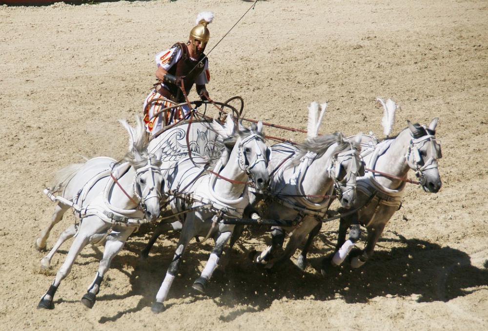 Roman Chariot Race Rome Colloseum Gladiator Roman Chariot Race Rome Colloseum Gladiator