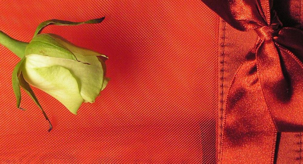 Rose White Bag Red Woven Texture Bow Valentine Rose White Bag Red Woven Texture Bow Valentine