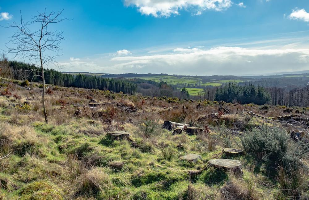 Scotland Hills Landscape Nature Highlands Clouds Scotland Hills Landscape Nature Highlands Clouds