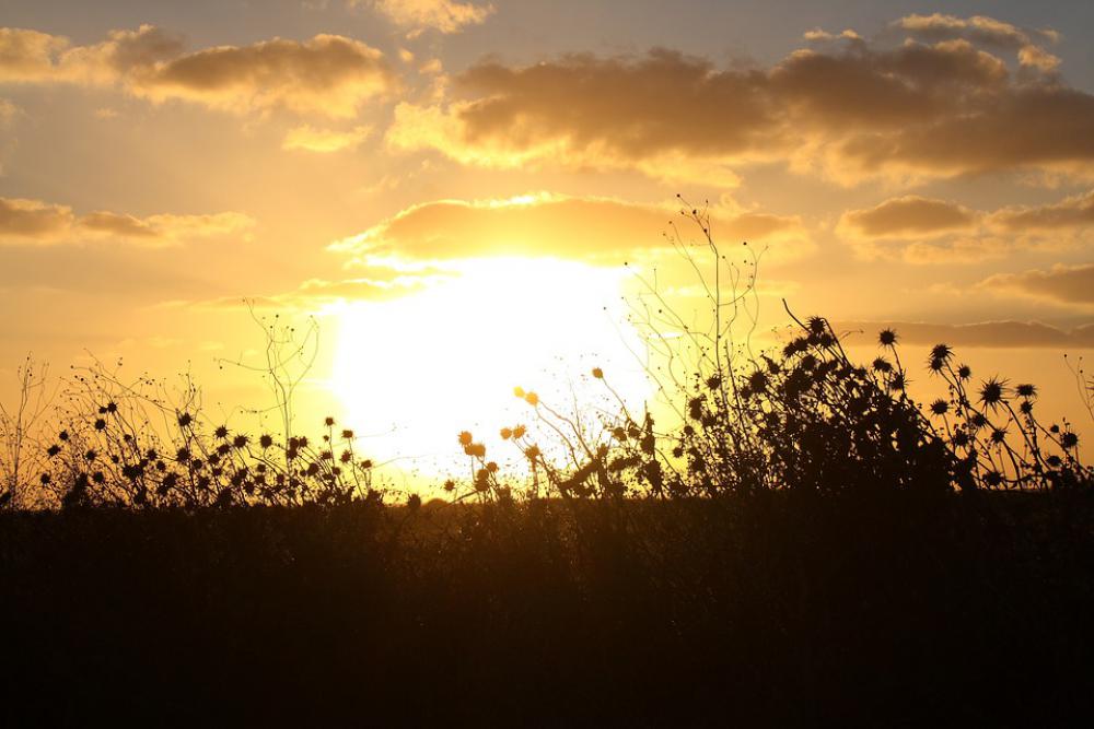 Sunset Sun Be Landscape Mood Nature Clouds Sunset Sun Be Landscape Mood Nature Clouds