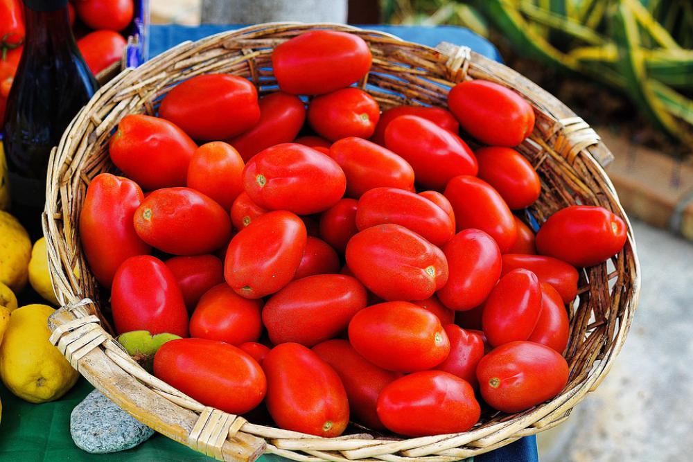 Tomatoes Vegetables Food Red Fresh Healthy Tomatoes Vegetables Food Red Fresh Healthy