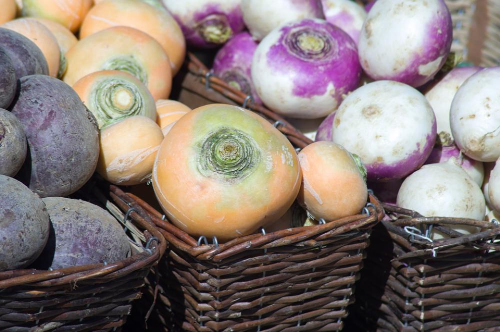 Turnips Garden Vegetable Garden Vegetables Harvest Turnips Garden Vegetable Garden Vegetables Harvest