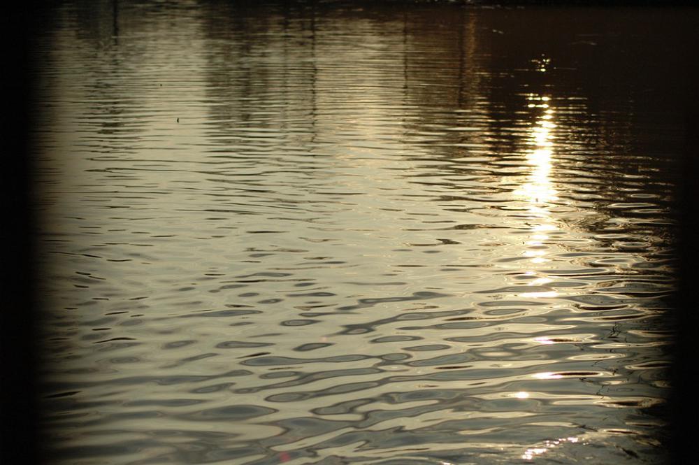 Water Waves Pond Lake Water Waves Pond Lake