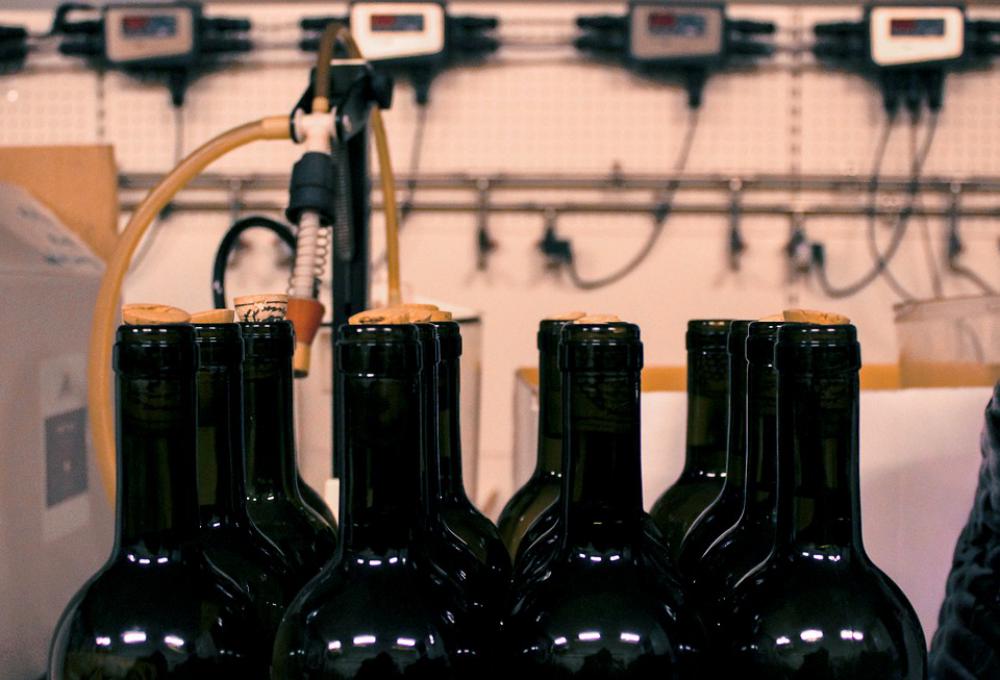 Wine Bottles Alcohol Bottle Bar Champagne Party Wine Bottles Alcohol Bottle Bar Champagne Party