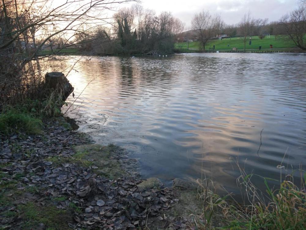 sunshine autumn pond water sunshine autumn pond water