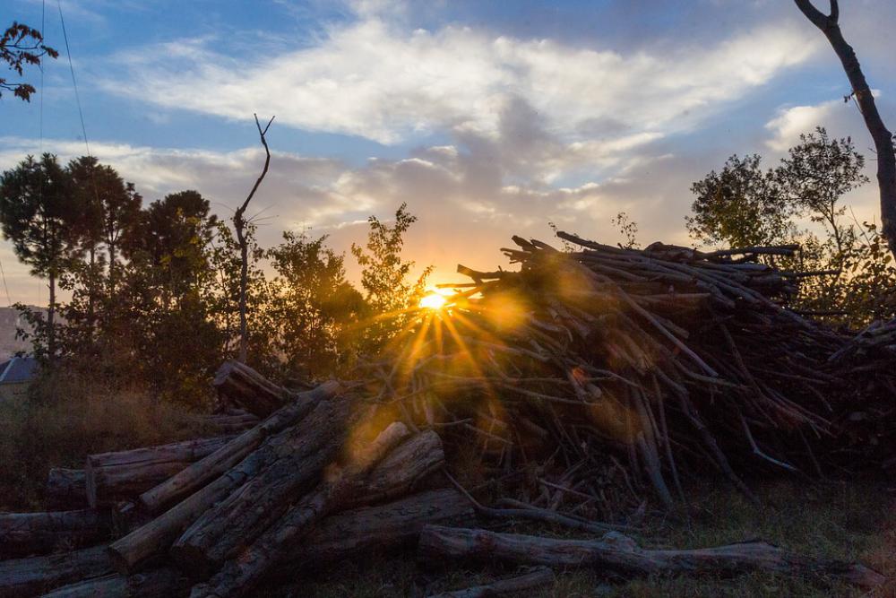 Backlit Landscape Woods Sky Clouds Backlit Landscape Woods Sky Clouds