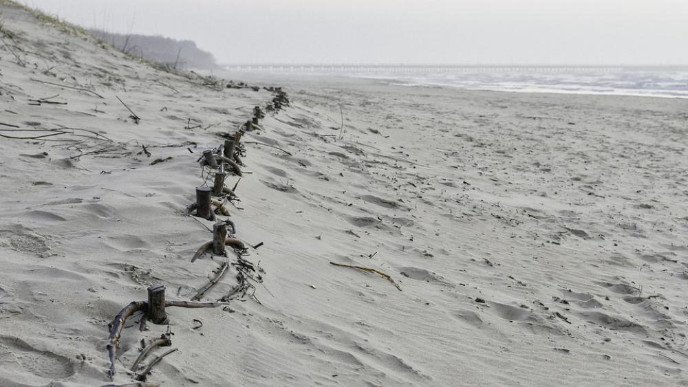 Beach Dunes Sand Path Landscape Coast Nature Sea Beach Dunes Sand Path Landscape Coast Nature Sea