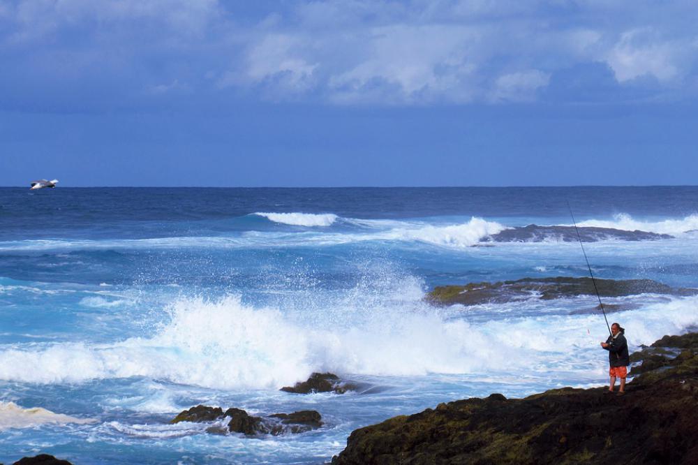 Blue Ocean Waves Sea Water Fishing Bird Volcanic Blue Ocean Waves Sea Water Fishing Bird Volcanic