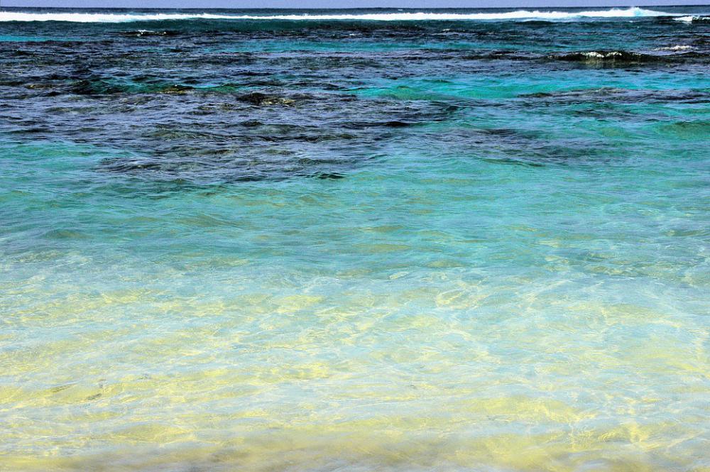 Caribbean Water Sea Transparency Beach Nature Caribbean Water Sea Transparency Beach Nature