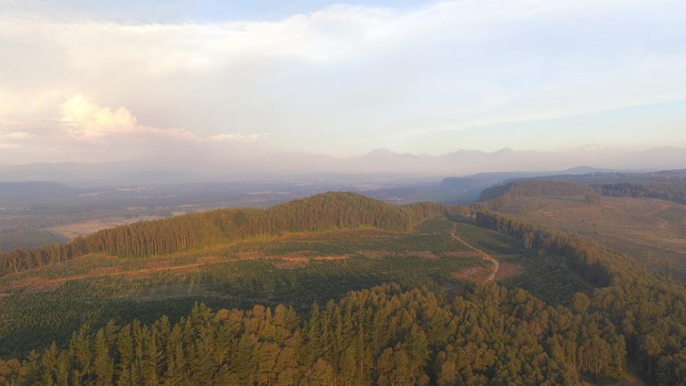 Chile Forest South Mountains Unesco Nature Trees Chile Forest South Mountains Unesco Nature Trees