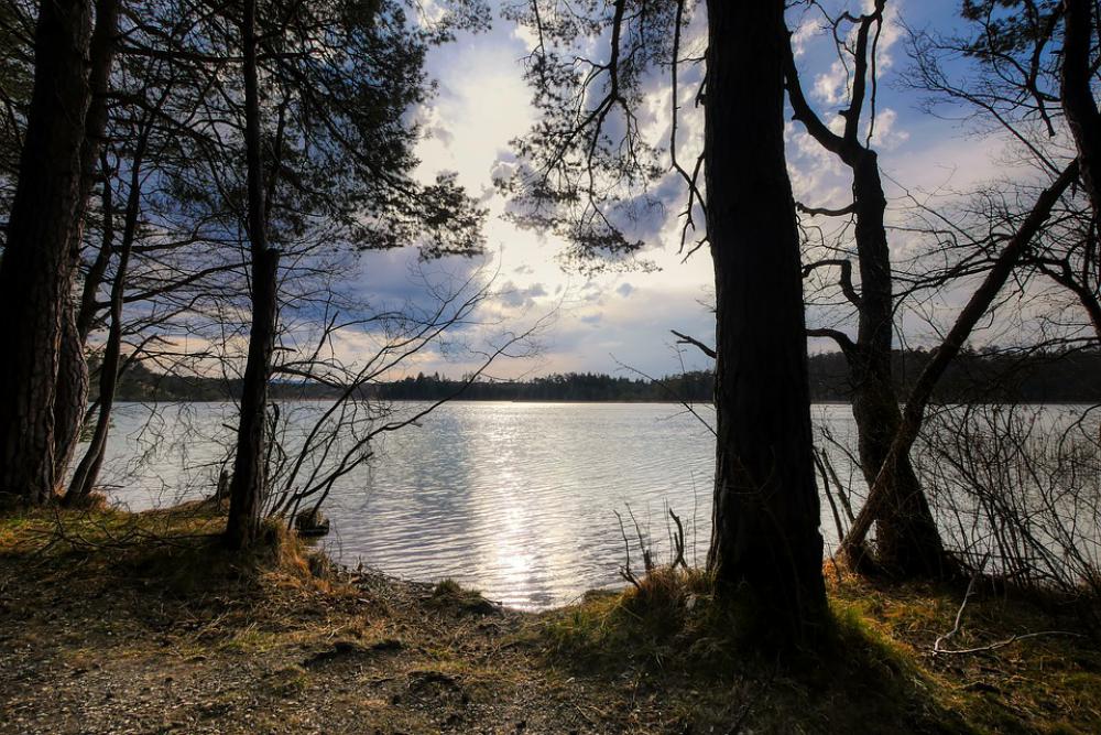 Lake Bank Tree Landscape Nature Rest Waters Pond Lake Bank Tree Landscape Nature Rest Waters Pond